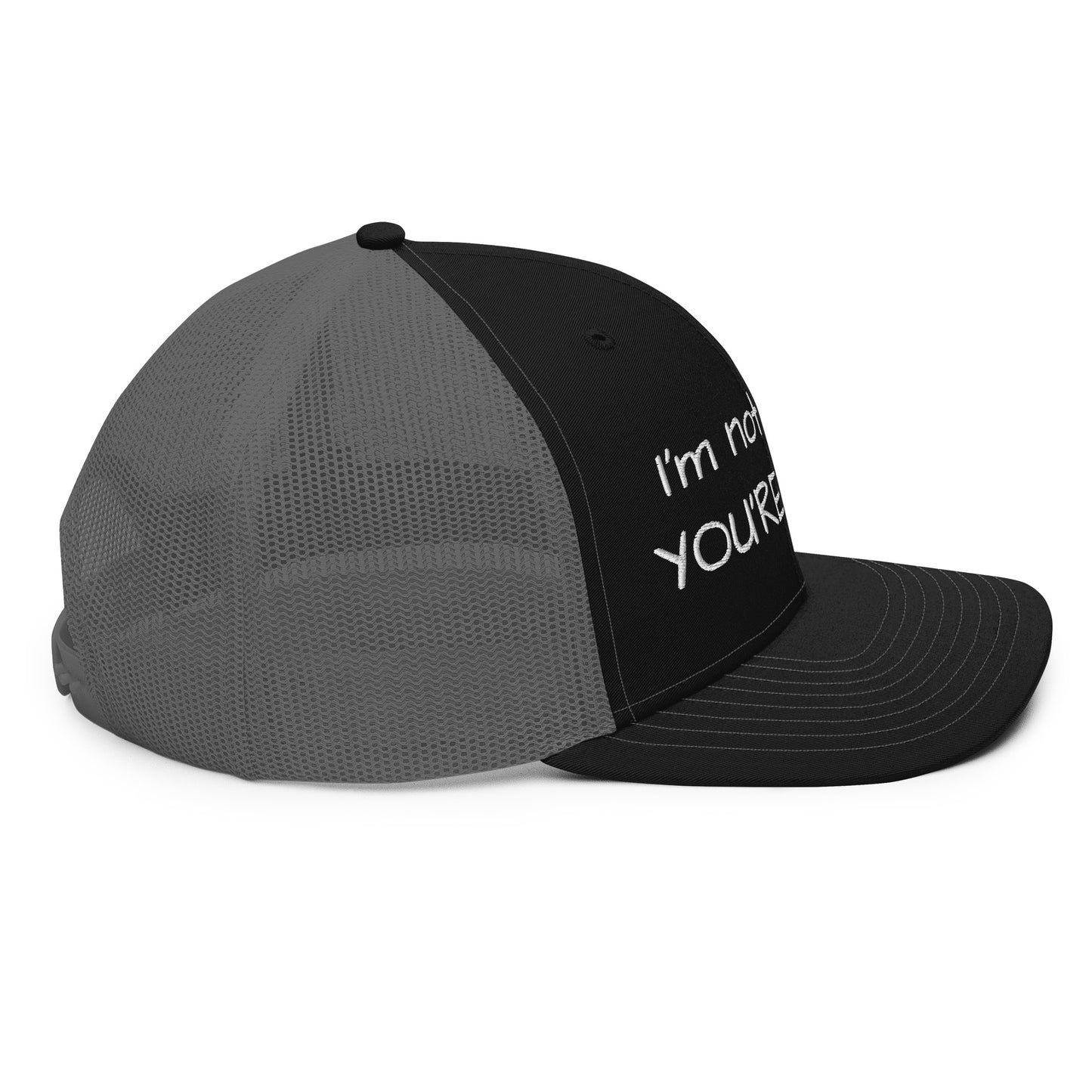 I'm not drunk.. YOU'RE Drunk! Hat